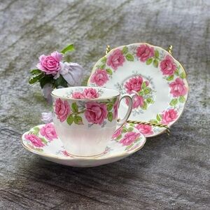 Vintage Queen Ann “Lady Alexander Rose” Teacup & Saucer. Bone China.